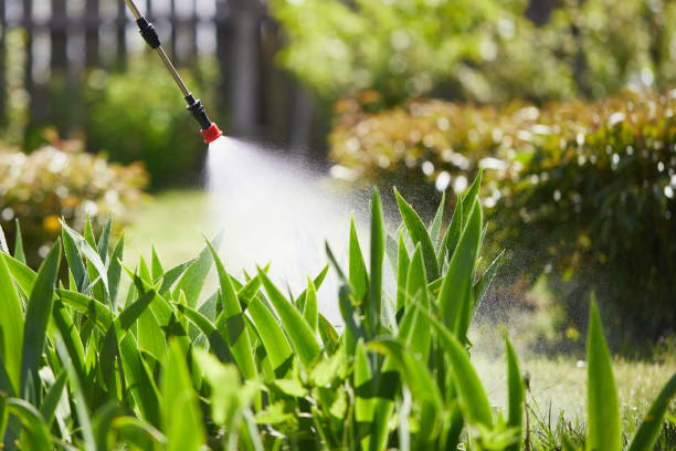24/7 Emergency Mosquito Control experts in Keansburg, NJ
