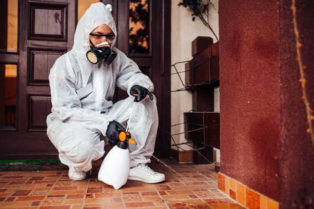 Reliable Mosquito Control contractor in Keansburg, NJ by Show Me Pest Control